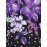 Women'S Plus Size Floral Print V-Neck Mini Dress - Casual Colorblock Design with Short Sleeves, Stretchy Polyester Blend, Perfect for Spring & Summer Outings, Floral Print Dress